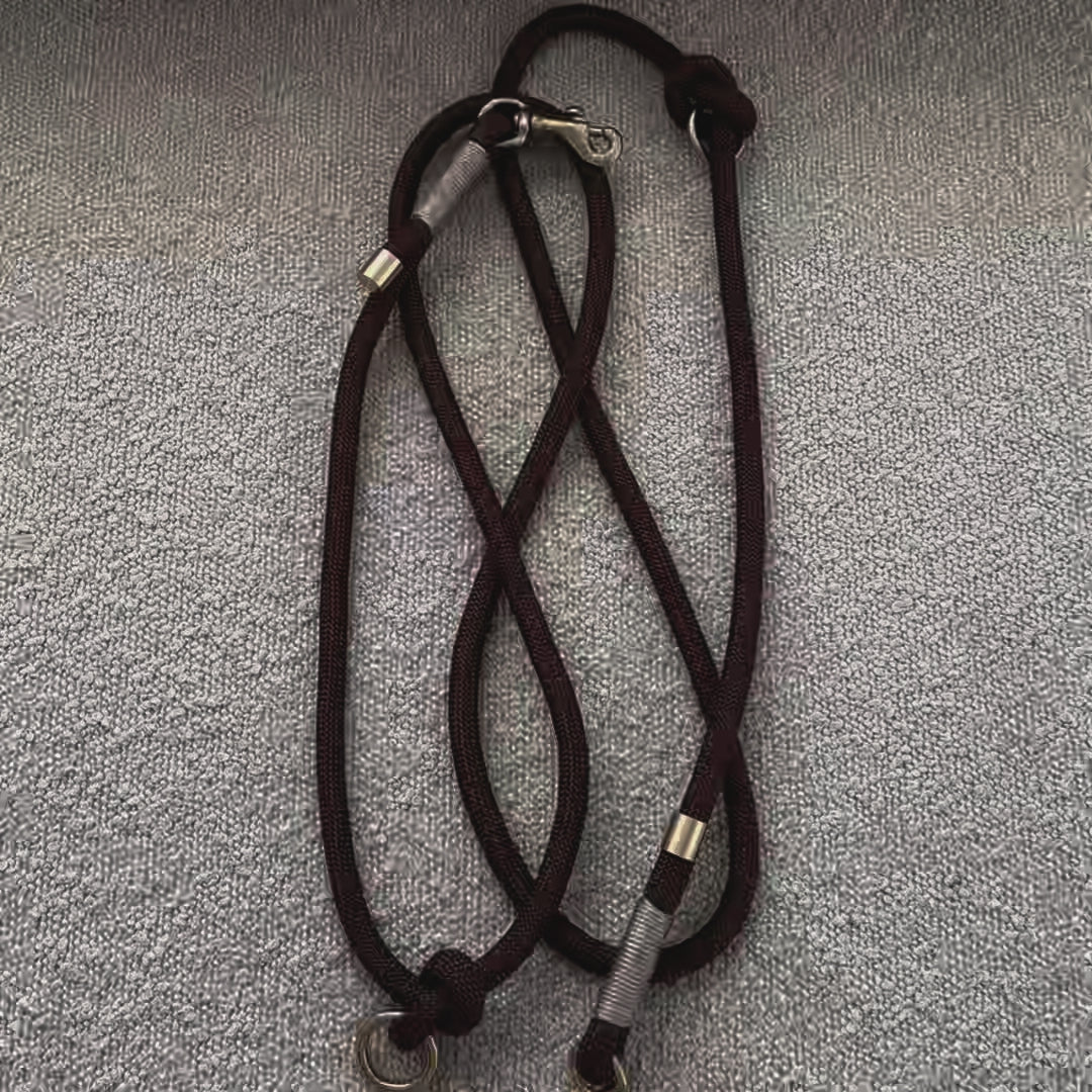 Espresso Brown / Dog lead