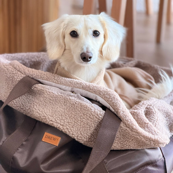 Cali / Hundetasche mit Teddyfutter (2026)