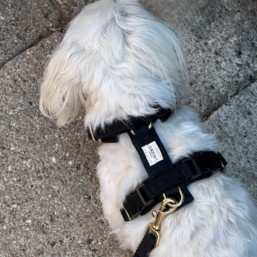 Sort PRO / Justerbar hundesele (Sort)